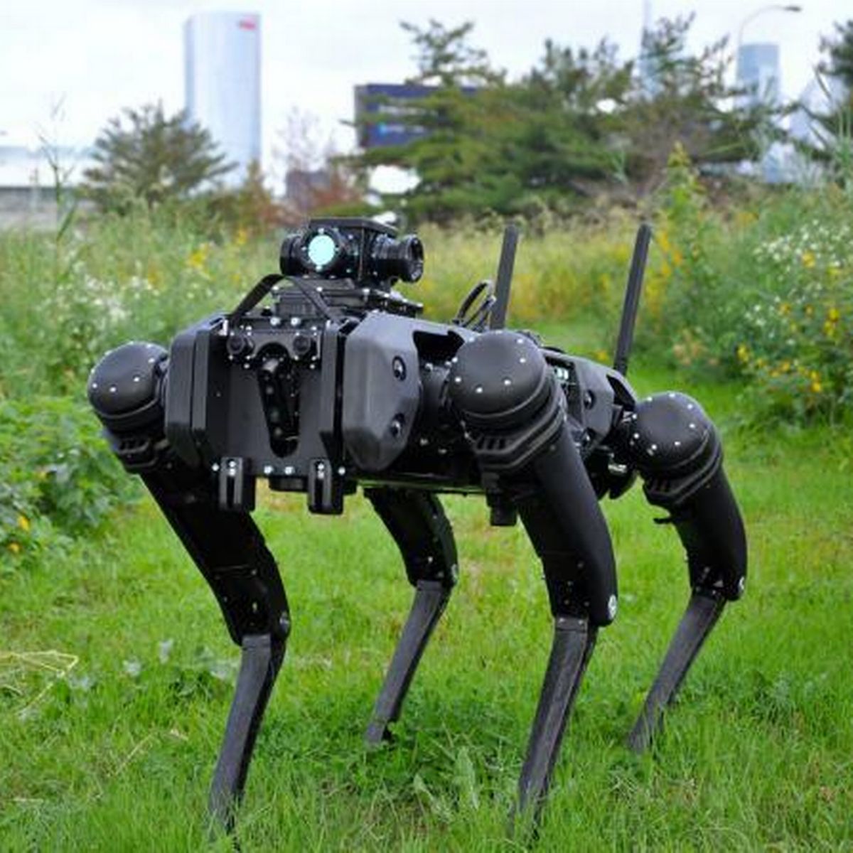 a robotic dog sculpture made of metal parts.