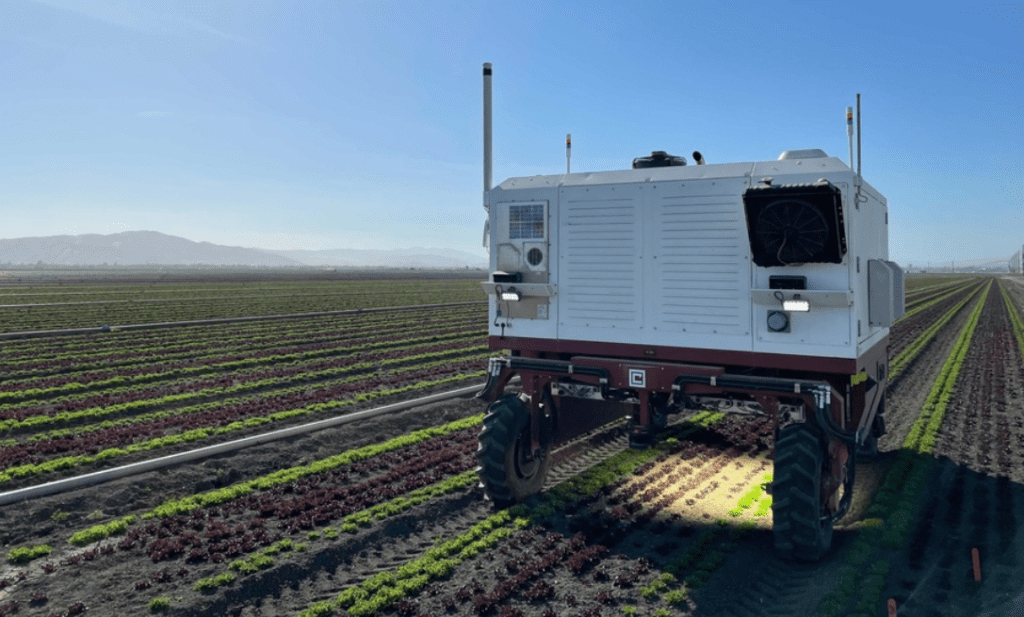 A robot for weed control driving through a field of crops.
